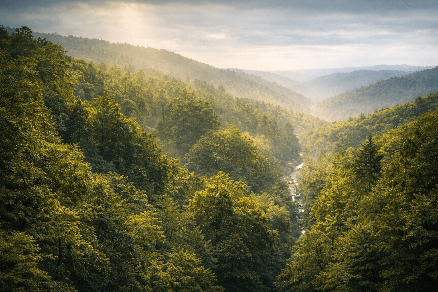 Valley